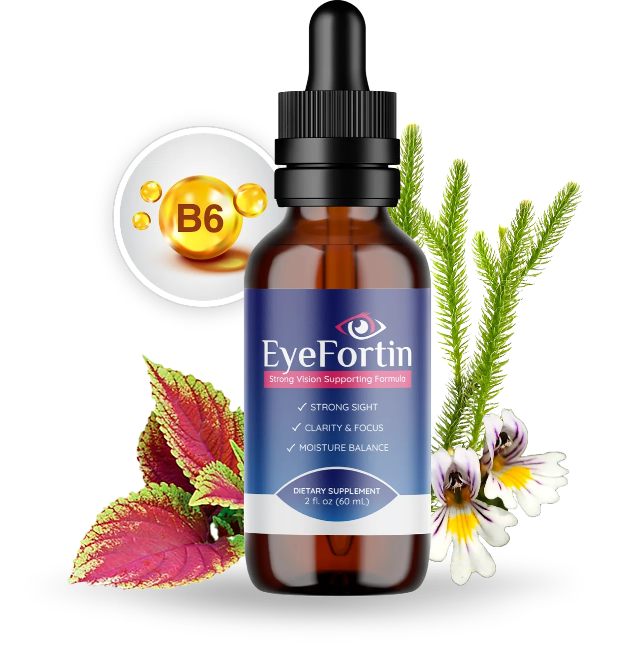 EyeFortin Reviews - Supplement Bottle